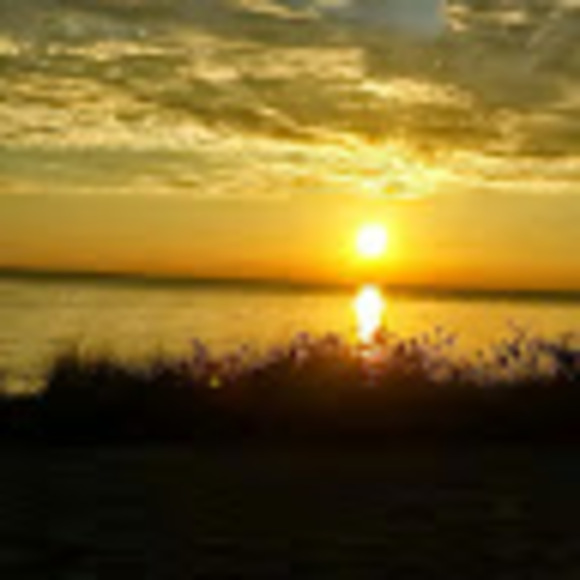 solomontowns686